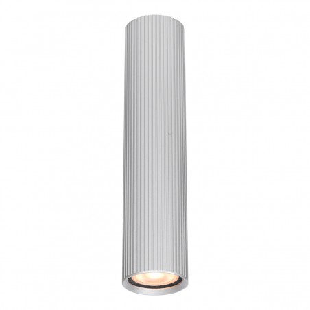 Ceiling luminaire Rilok  CLN-83920-L-ALU  - 1