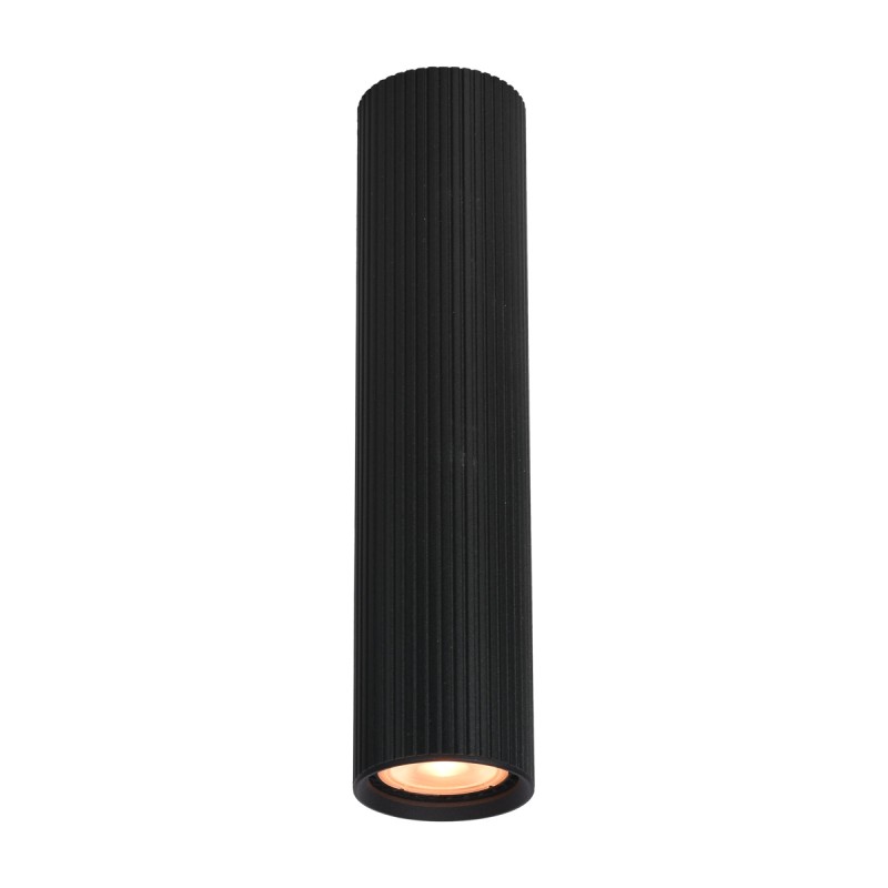 Ceiling luminaire Rilok  CLN-83920-L-BK