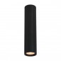 Ceiling luminaire Rilok  CLN-83920-L-BK