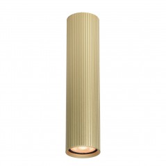 Ceiling luminaire Rilok  CLN-83920-L-GD  - 1