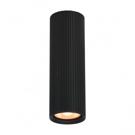Ceiling luminaire Rilok  CLN-83920-M-BK  - 1