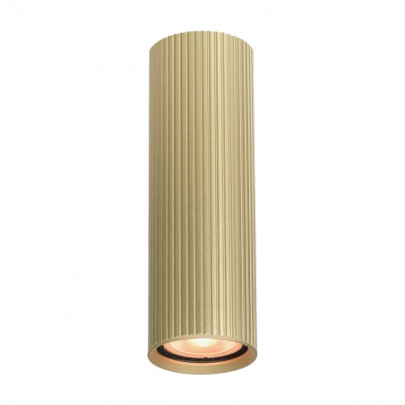 Ceiling luminaire Rilok  CLN-83920-M-GD  - 1