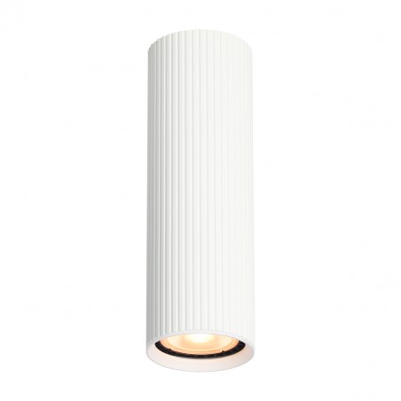 Ceiling luminaire Rilok  CLN-83920-M-WH  - 1