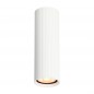 Ceiling luminaire Rilok  CLN-83920-M-WH