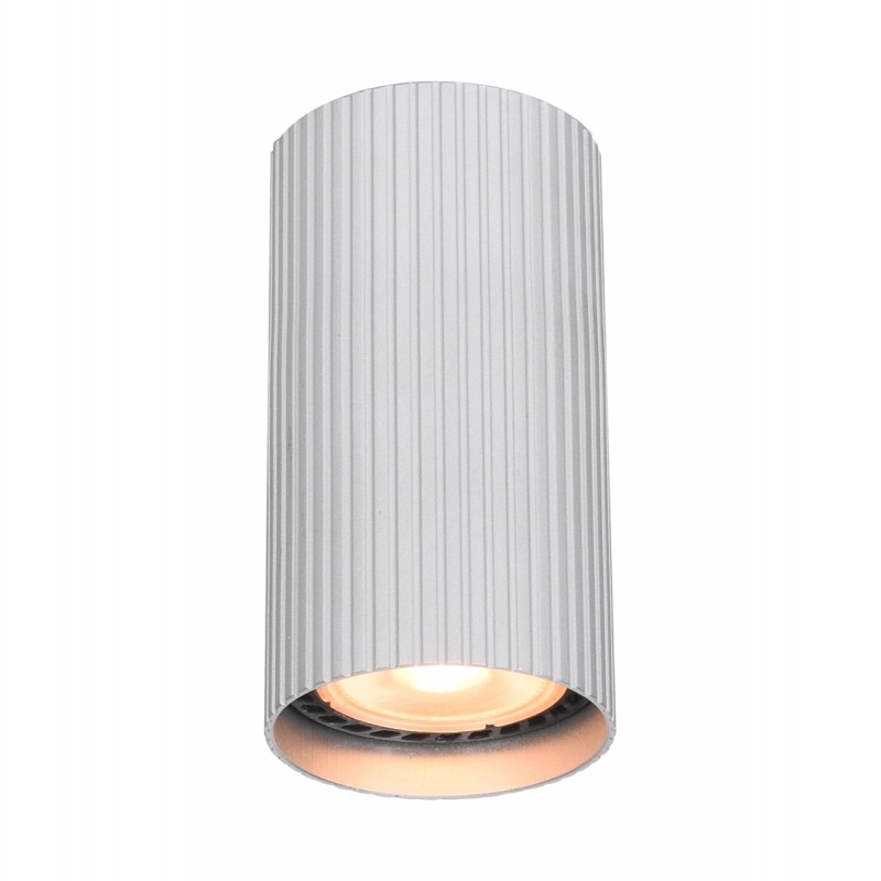 Ceiling luminaire Rilok  CLN-83920-S-ALU