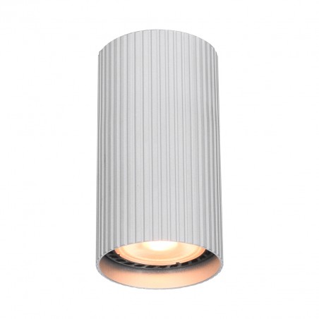 Ceiling luminaire Rilok  CLN-83920-S-ALU  - 1