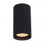 Ceiling luminaire Rilok  CLN-83920-S-BK