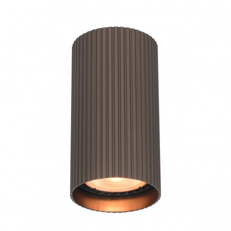 Ceiling luminaire Rilok  CLN-83920-S-BRO  - 1