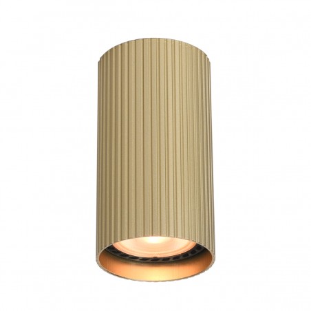 Ceiling luminaire Rilok  CLN-83920-S-GD  - 1