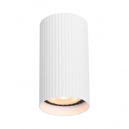 Ceiling luminaire Rilok  CLN-83920-S-WH  - 1