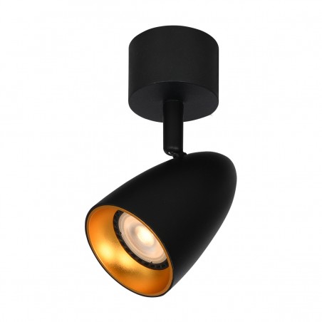 Ceiling luminaire Tino  SPL-36748-1R-BK-GD  - 1