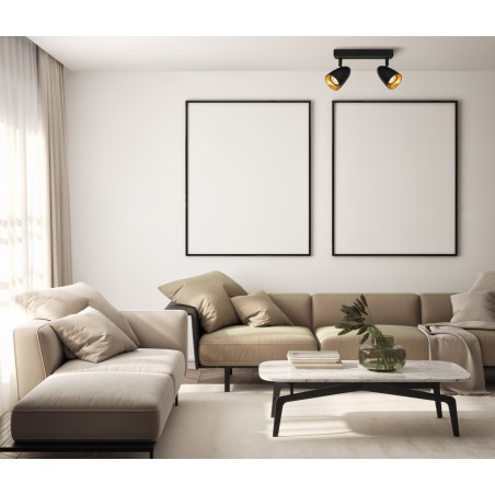 Ceiling luminaire Tino  SPL-36748-2-BK-GD