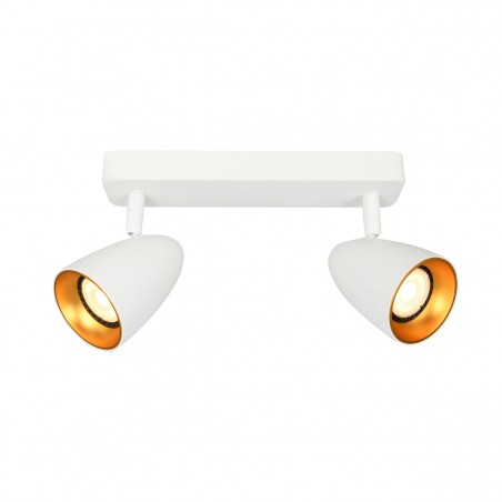 Ceiling luminaire Tino  SPL-36748-2-WH-GD  - 1