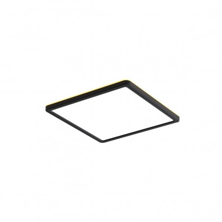 Ceiling luminaire Aleria  PLF-39573-230S-22W-BL  - 1