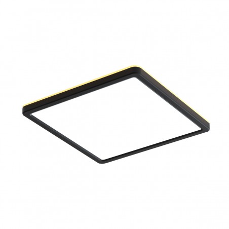 Ceiling luminaire Aleria  PLF-39573-450S-50W-BL  - 1