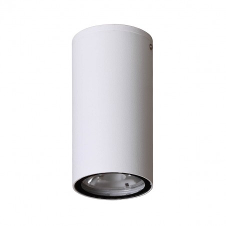 Ceiling luminaire Fano 4K  OPN-2002-4K  - 1