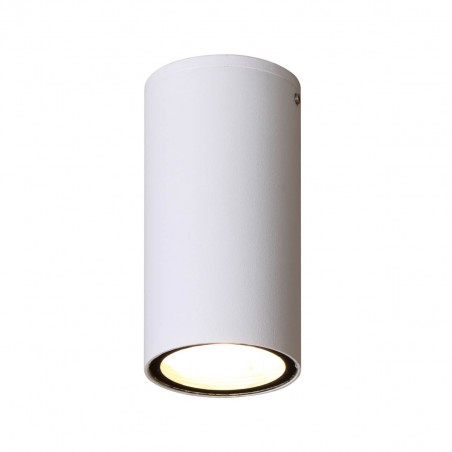 Ceiling luminaire Fano 4K  OPN-2002-4K