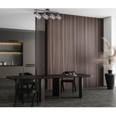 Ceiling luminaire Sardo SPL-5581-4-BK-SG