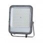 LED Floodlight Timbo  FD-23913-100W
