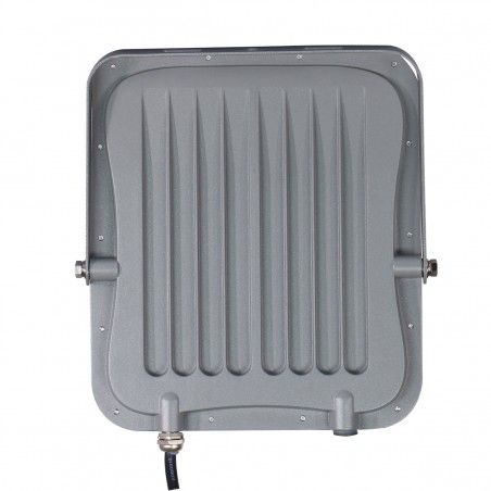 LED Floodlight Timbo  FD-23913-100W