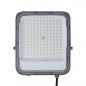 LED Floodlight Timbo  FD-23913-100W