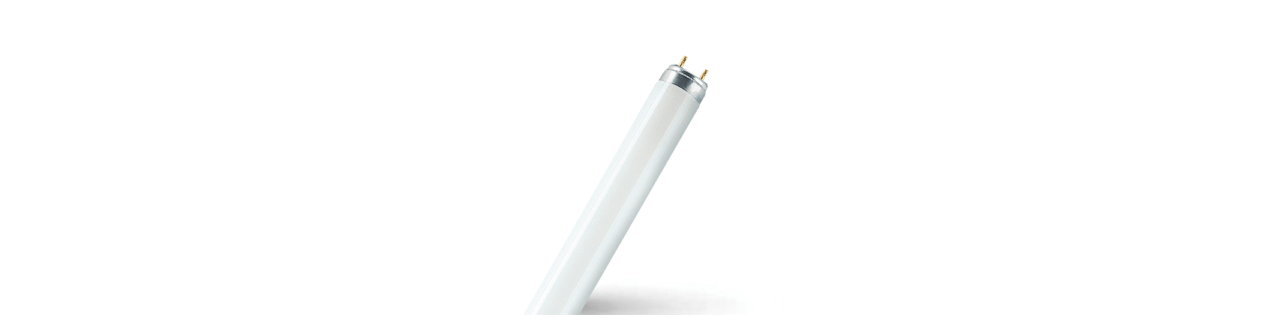 Fluorescent bulbs
