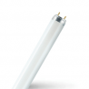 Fluorescent bulbs