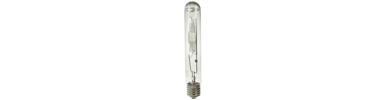 Halogen bulbs